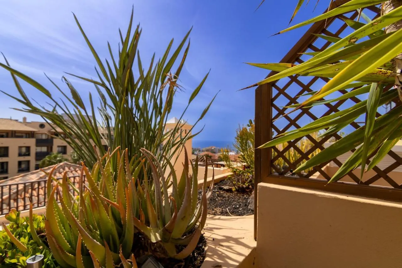 Terrazas Del Duque II Hideaway Apartment Costa Adeje  Spain